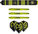 Winmau Michael van Gerwen MvG Ambition Brass 24g Darts Set with Flights and view 7