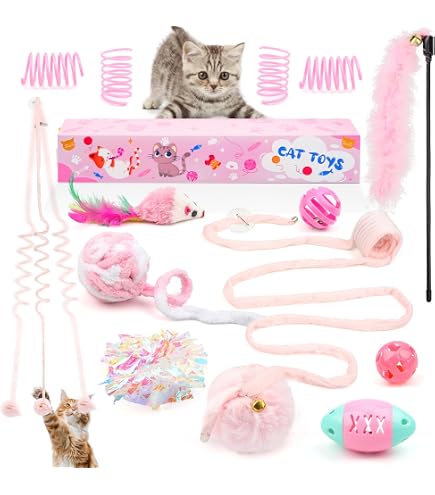 Amazon.com : Wild & Woofy Eat Sleep Purr Repeat 4-Piece New Cat
