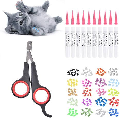Queta Protection Des Pattes De Chat Et Coupe Ongles 0 Sortes De Sets D Ongles Pour Chats En Couleurs Capsules Par Boite Avec De La Colle Coupe Ongles Avec Chat Noir Amazon Fr Animalerie
