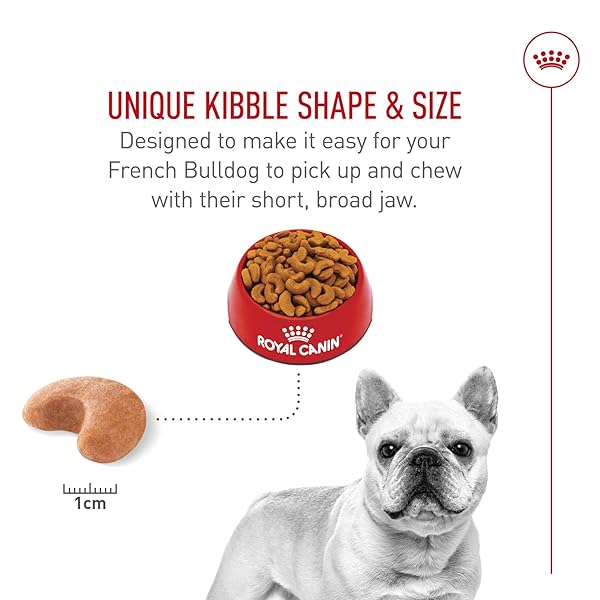 ROYAL CANIN BREED HEALTH NUTRITION FRENCH BULLDOG ADULT DRY DOG FOOD, 6 LB BAG