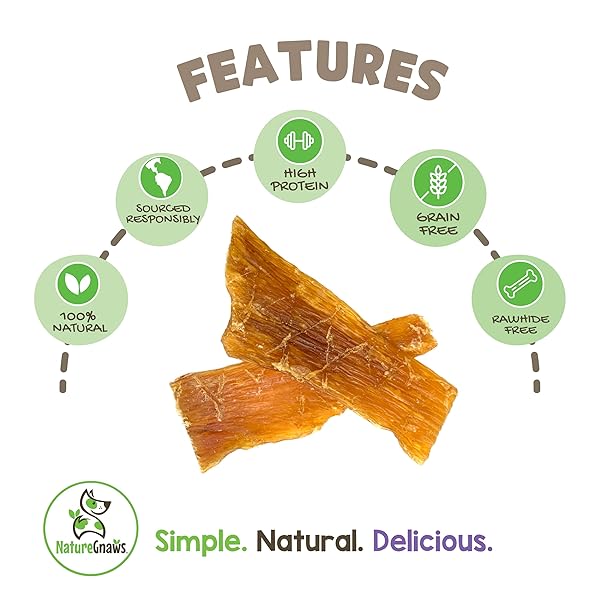 NATURE GNAWS BEEF PADDYWACK TENDONS FOR DOGS 5-6″ (5 COUNT) – LONG LASTING FOR AGGRESSIVE CHEWERS – NATURAL BEEF DOG CHEW BONES – RAWHIDE FREE