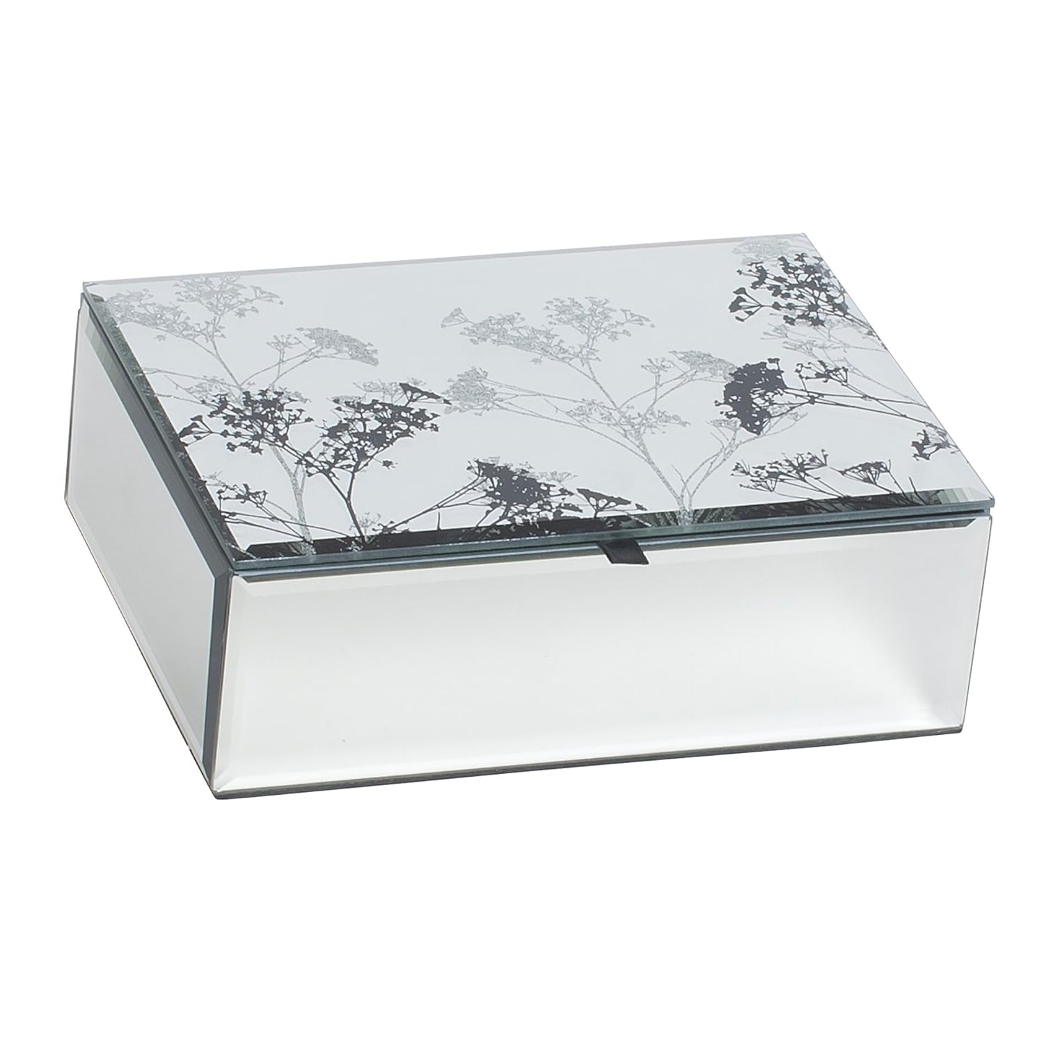 Cara Mirrored Glass Box with Botanical Design Home & Kitchen