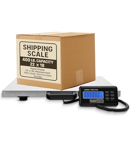 Balance Suspendue Numérique - DIOCHE - WH A28 - Étanche - 0-50 kg