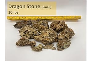 Aquarium Plant Center Small Dragon (Ohko) Stone (10 lbs)