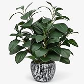 SHOHAYTO Artificial Plants for Home Decor - 13.2 Inch Fake Succulents in Rustic Clay Planter, Lifelike Potted Faux Plants for Office Desk, Bathroom, Farmhouse Table Decor