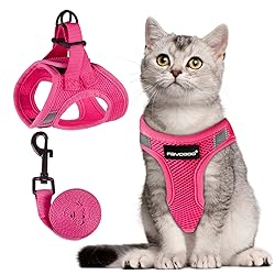 FAYOGOO Cat Harness and Leash Set, Escape