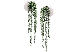 Tiita Artificial Succulents Hanging Plants, Faux String of Pearls Plants for Home Office Accessories Window Sill Bathroom Bedroom Fake in White Ceramic Pots, Set of 2