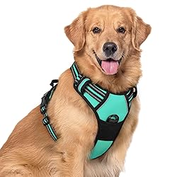 rabbitgoo Dog Harness No Pull with 2 Leash