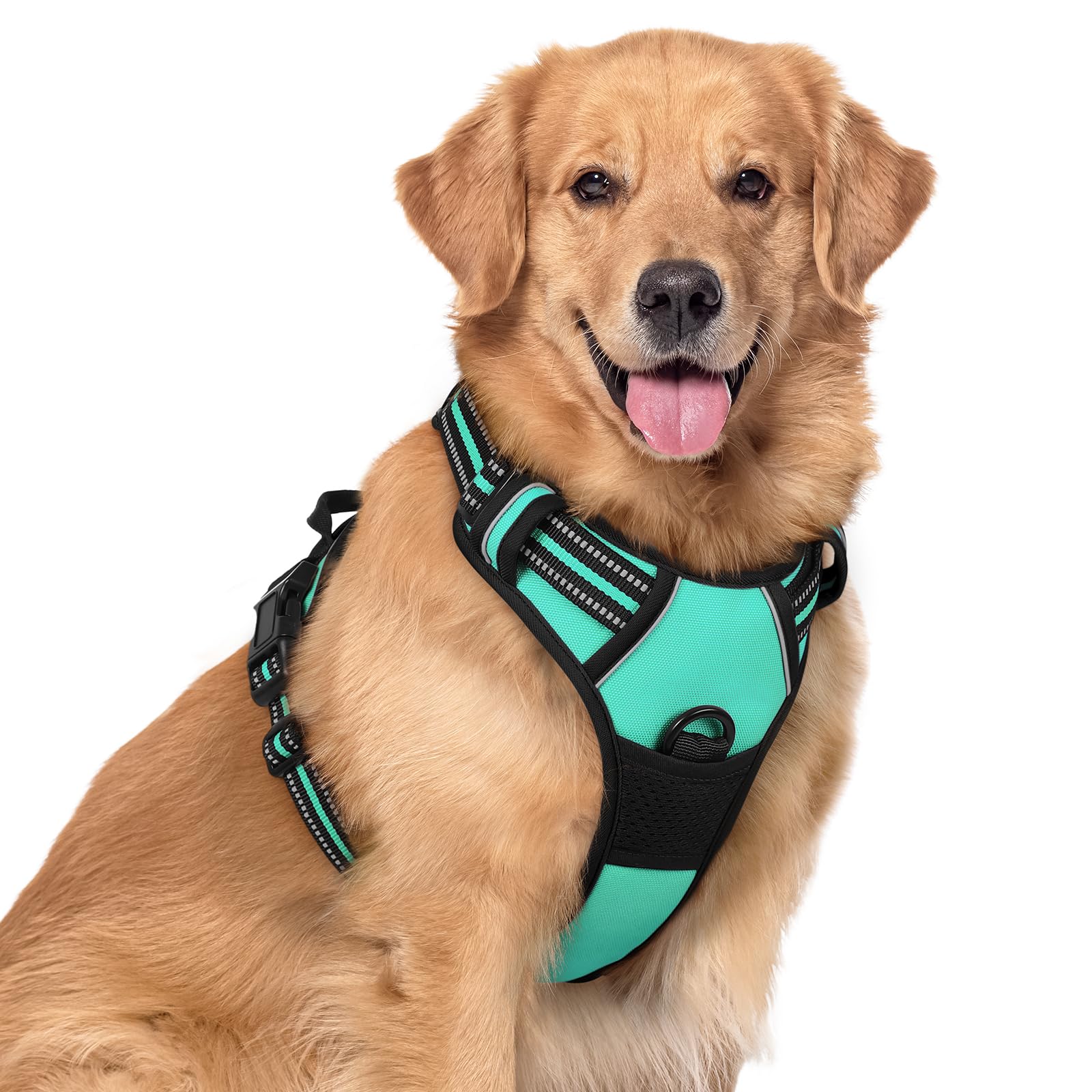 rabbitgoo Dog Harness No Pull with 2 Leash