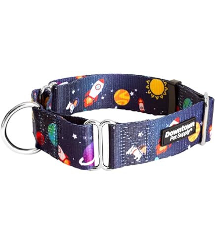 MTV Hundehalsband "Beavis Und Hinterkopf" – Kunststoffschnalle, 21,6–30,5 Cm, Orange/schwarz/weiß