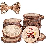 Natural Wood Slices for Crafts with Hole 42 Pcs 2.4-2.8 inches Natural Wood Unfinished Rounds with Pre-drilled Hole and 33 Fe