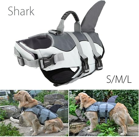 amazon dentastix large