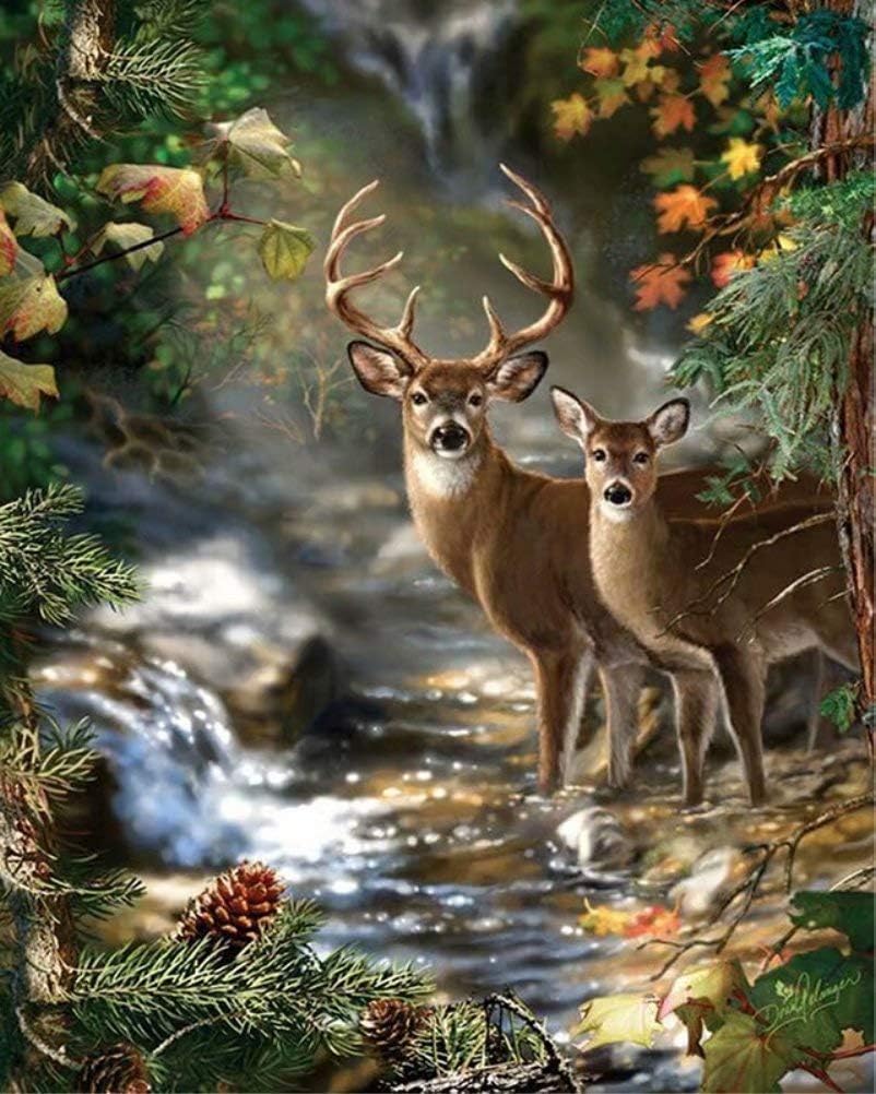 LPRTALK DIY 5D Diamond Painting by Number Kit for Kids Adults, Full Square Drill Diamond Art Embroidery Dotz Kit Cross Stitch Arts Craft Canvas for Wall Decor Watching Deer 14X18 inches