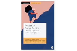 Access to Social Justice: Effective Remedies for Social Rights (Bristol Studies in Law and Social Justice)