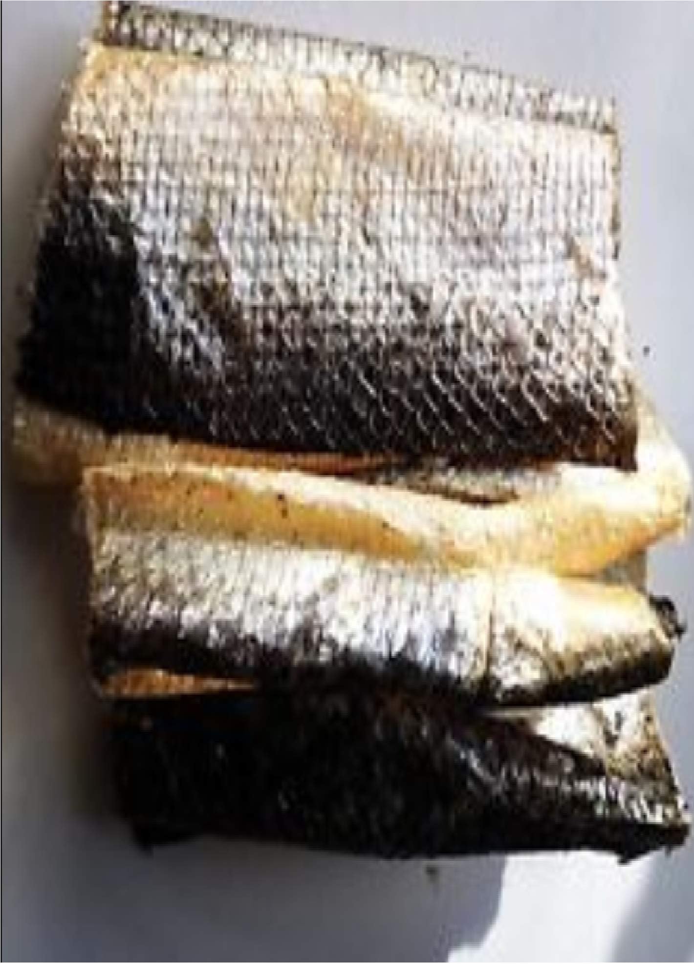 STOCKBULL SALMON JERKY ROLLS X 100G PER PACK – 2, 4 OR 6 PACKS- DOG TREATS (4 PACKS)