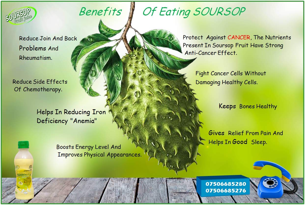 Fruit Benefits Of Soursop Herbs and Food Recipes Fruit Benefits Of Soursop Herbs and Food Recipes