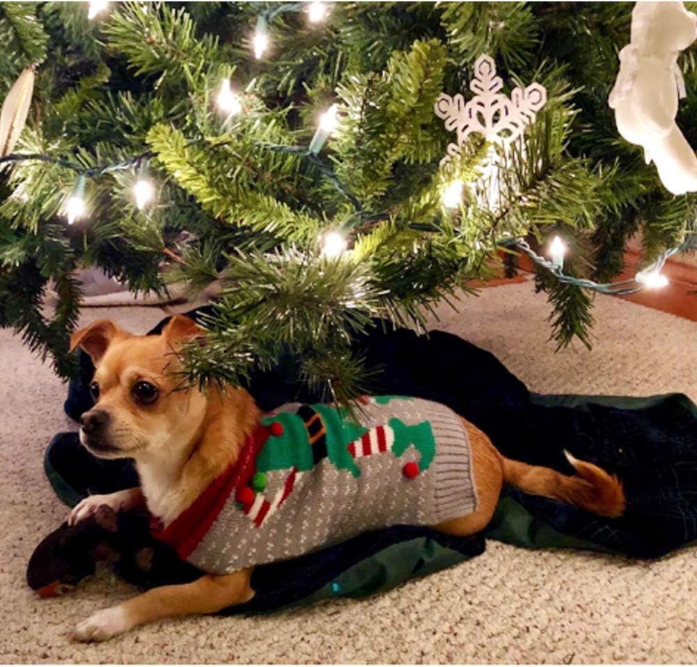 DELIFUR Dog Clown Winter Sweater - Ugly Elf Pet Jumper for Dog and Cat - Christmas Holiday and Party (Clown, 2XL) - Image 5