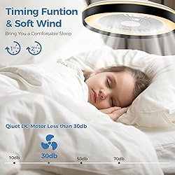 Modern Ceiling Fans with Lights - 19 inch Low
