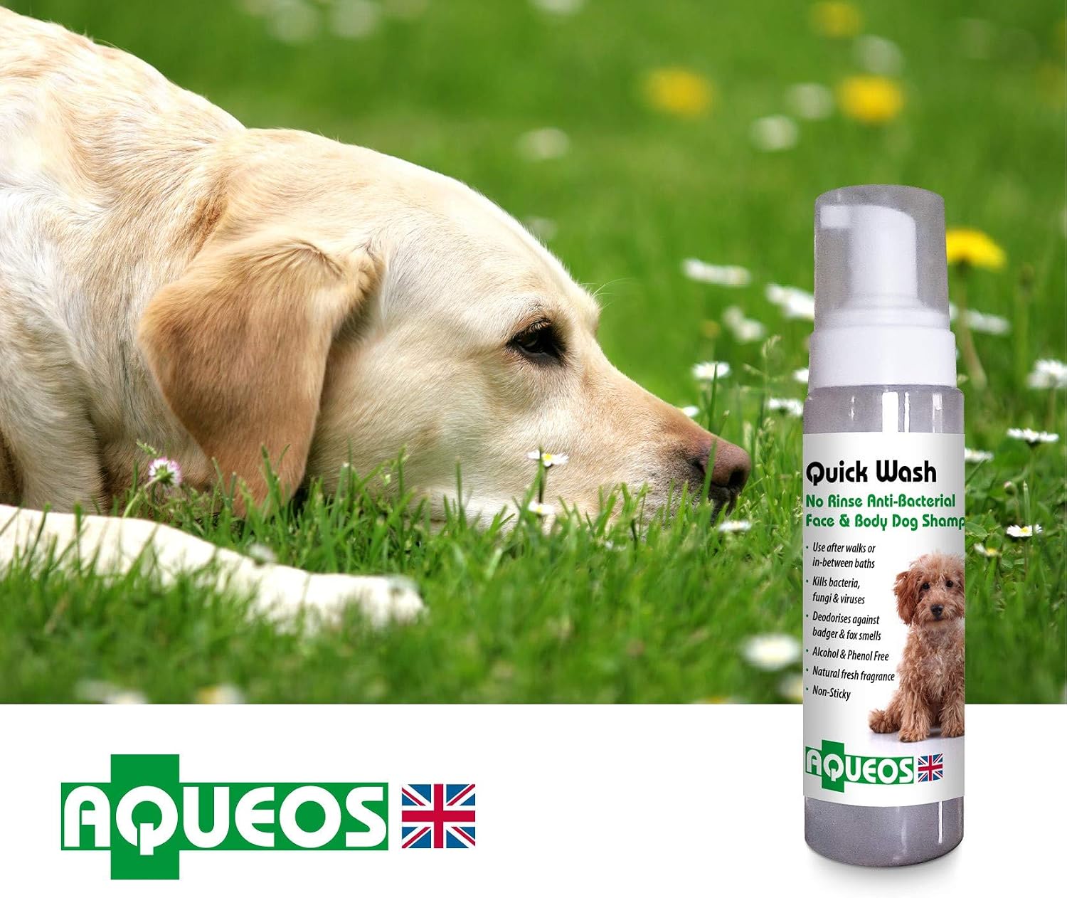 Aqueos Quick Wash No Rinse Dry Shampoo for Dogs, 200 ml (Pack of 1) - Image 3