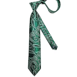 DiBanGu Silk Paisley Ties for Men Woven Necktie and