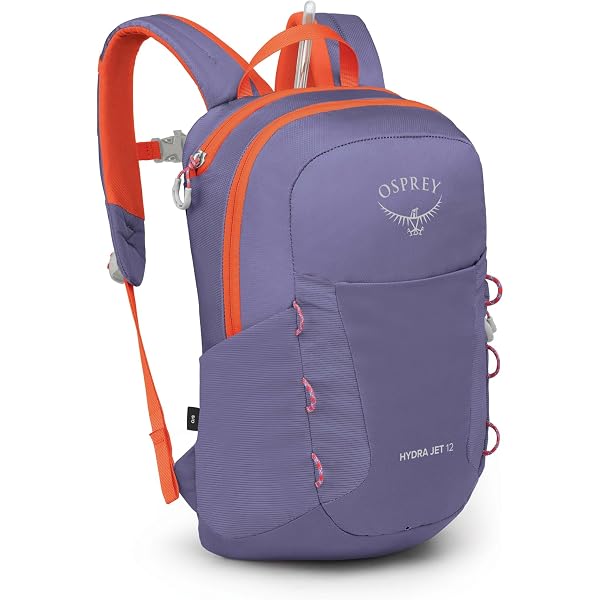 Amazon.com : Osprey Jet 18L Kid's Hiking Backpack, Euphoria Purple