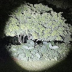 BlueFire 1200 Lumen Super Bright XM-L2 LED Handheld