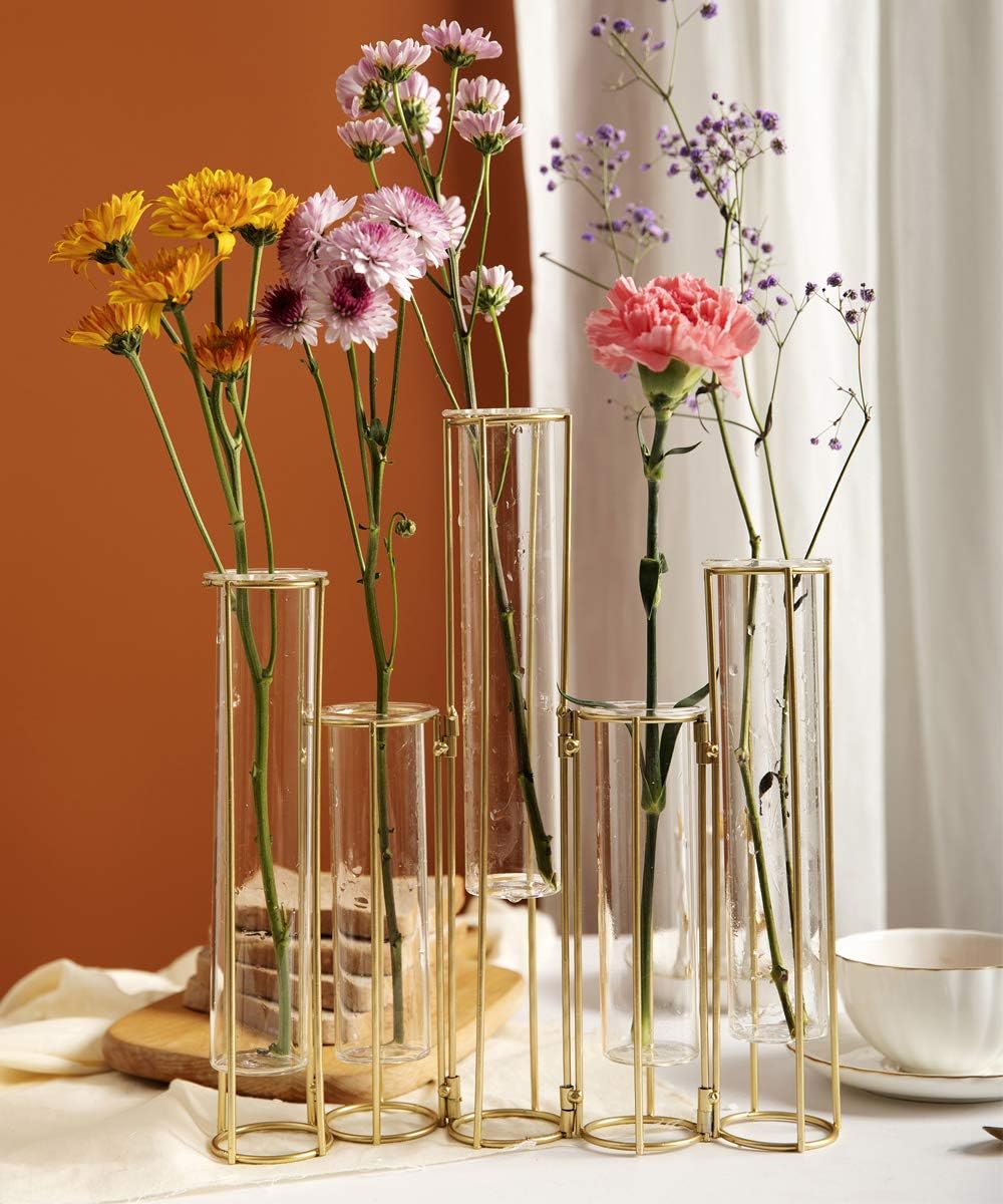 Test Tube Vase for Flowers Set of 5 Glass Vase with Iron Stand Racks Hydroponic Test Tube - Image 4