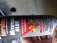 Review Image by Tina Wilson Tina Wilson