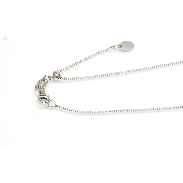 Amazon.com: 14kt Solid White Gold Adjustable Chain Necklace 14
