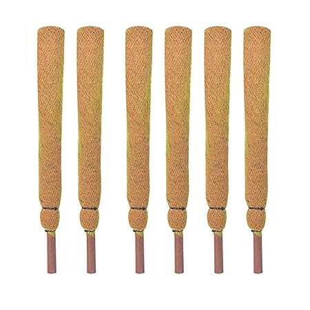 Sparkenzy 2 Feet Coir Moss Stick/Coco Pole for Climbing Plants (Set of 6)