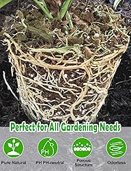TOYPOPOR Perlite for Plants, 3-6mm Organic Perlite