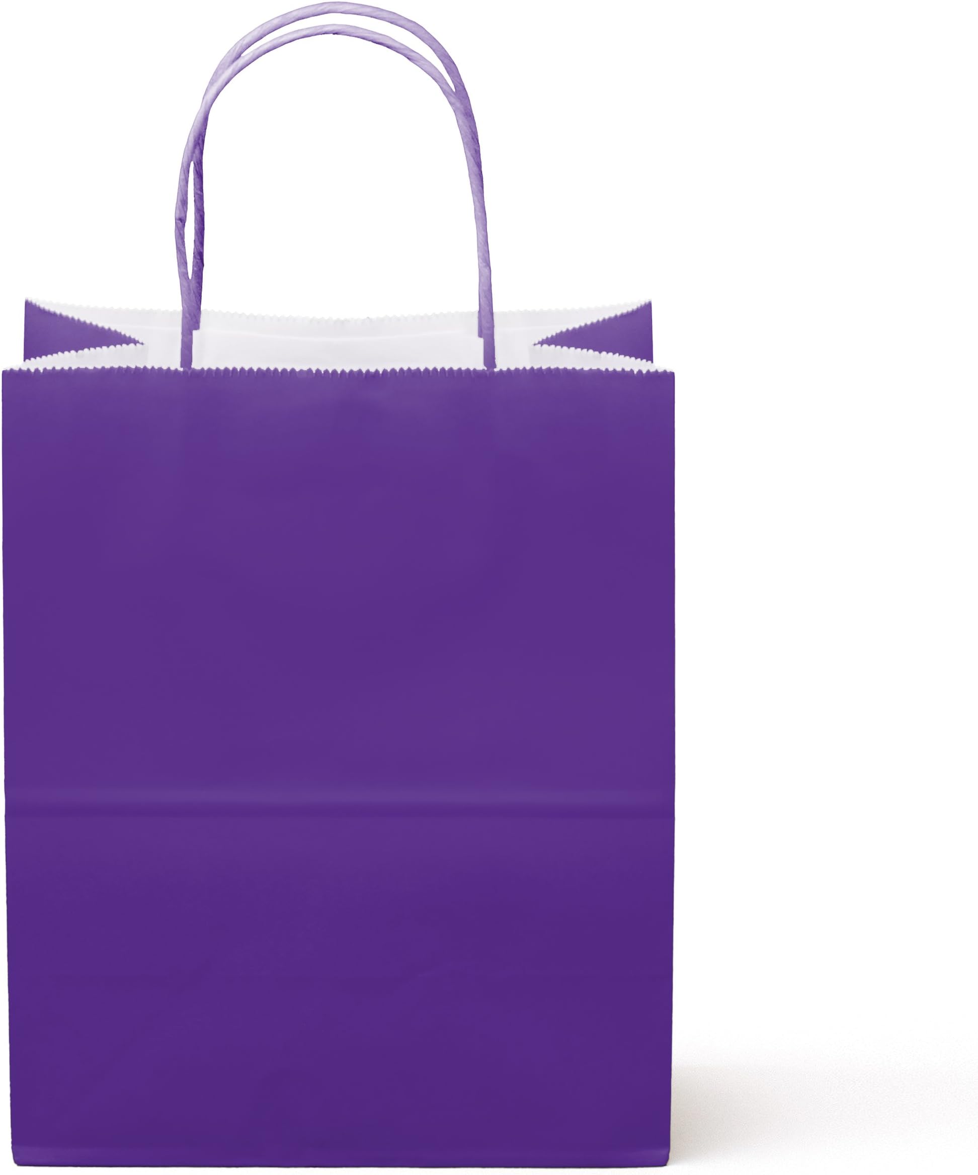 24ct Food Safe Premium Paper & Ink Color Kraft Bag with Handle 10 x 8 in - Party Favor Gift Bags with Handle, Color Goody Bag, Paper DIY Bag, Environmentally Safe (Medium, Purple)