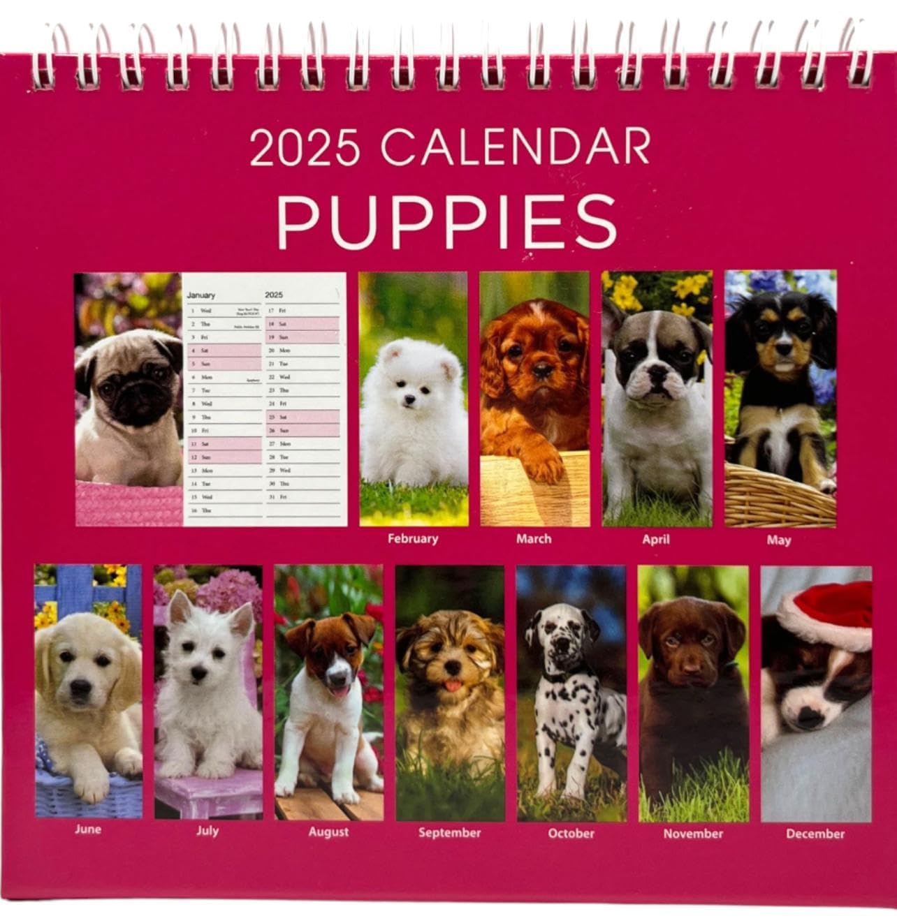 PaulStore 2026 Month to View Desktop Calendar Home Office Table Work Top Planner Organiser (Puppy)