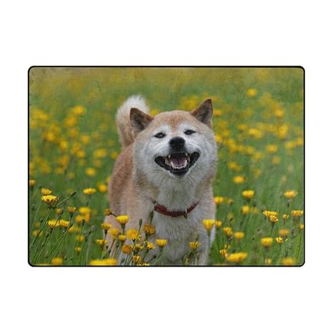 Amazoncom My Daily Shiba Inu Flower Fields Area Rug 410