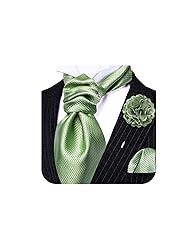 Ailisus Sage Green Ascot and Lapel Pin Set Man