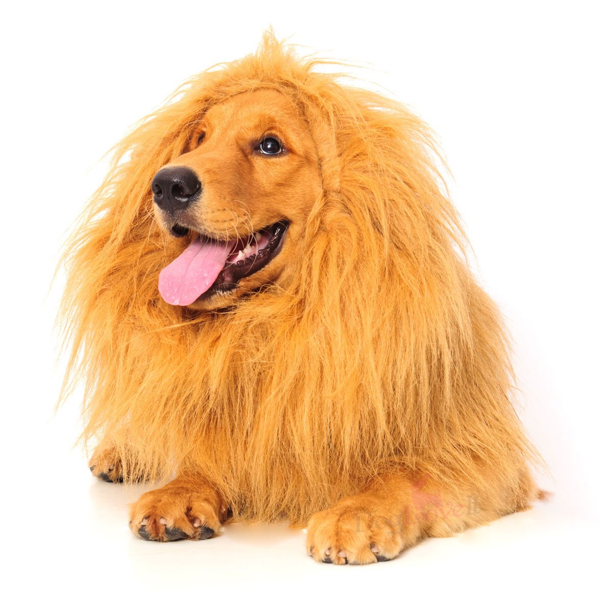 Dog Halloween Costumes - Lion Costume