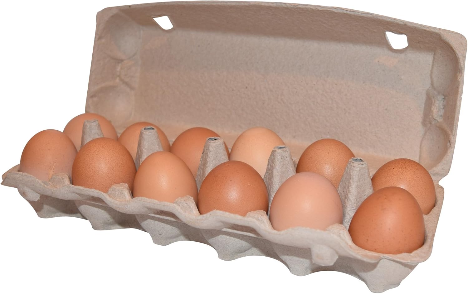 Amazon.de: Umweltfreundlich Natürliche Pulp Ei Karton (für 1-dozen Eier