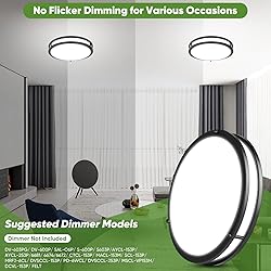 2-Pack 36W LED Ceiling Lights Black, 13inch Flush