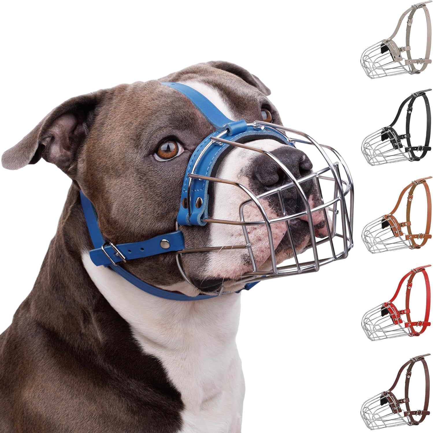 Photo 1 of BRONZEDOG Pitbull Dog Muzzle Breathable Metal Basket for Large Dogs Amstaff Staffordshire Terrier Biting Chewing Barking (Leather, Blue)