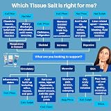 Schuessler Tissue Salts Combination H Tablets Pack of 125 view 3