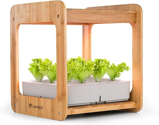 Blumfeldt Urban Bamboo Jardín hidropónico - Huerto, Sistema para ...