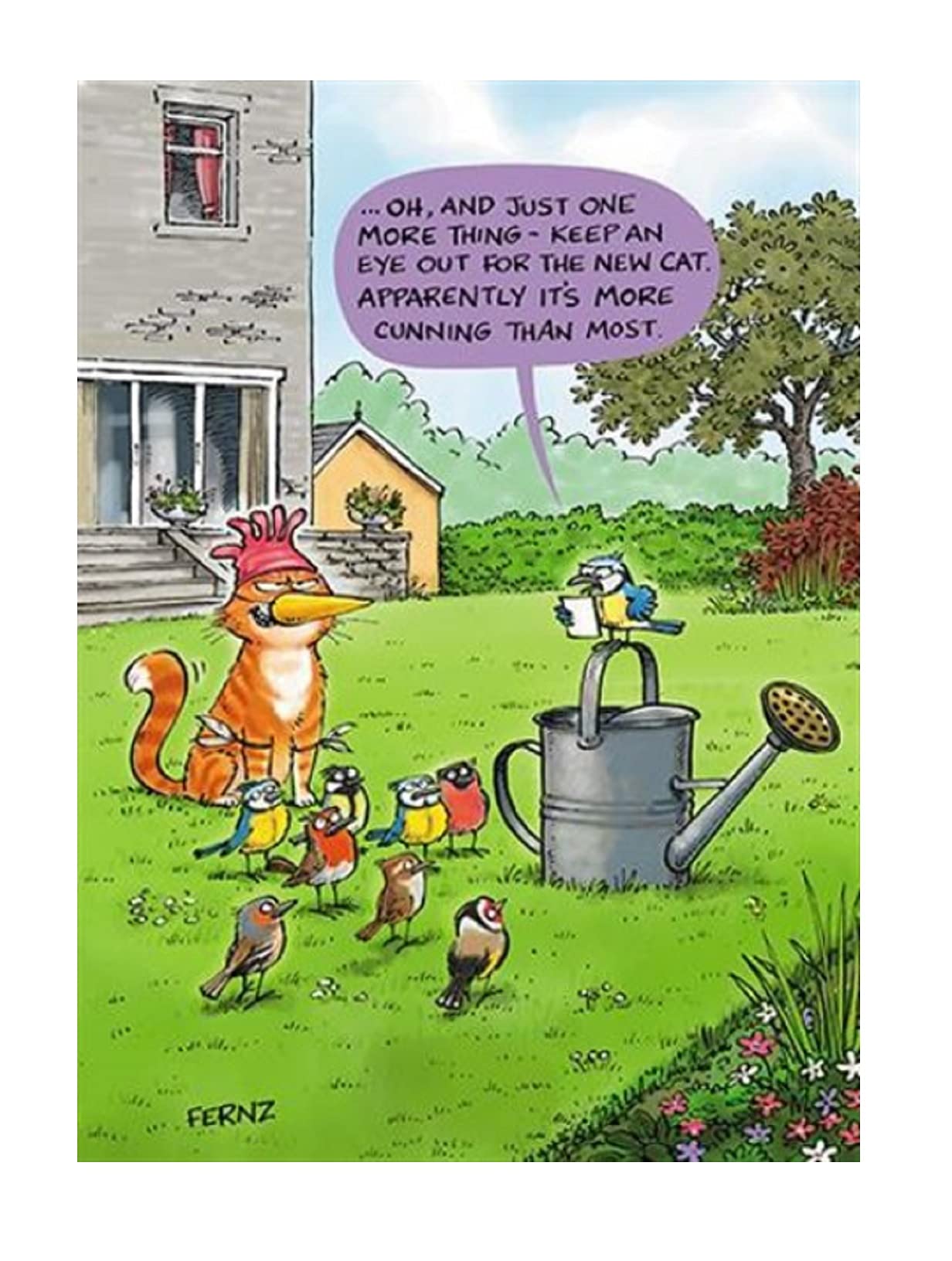 Humorous Greeting Card (PH6261) Birthday - New Cat - From The Animal Function Range.