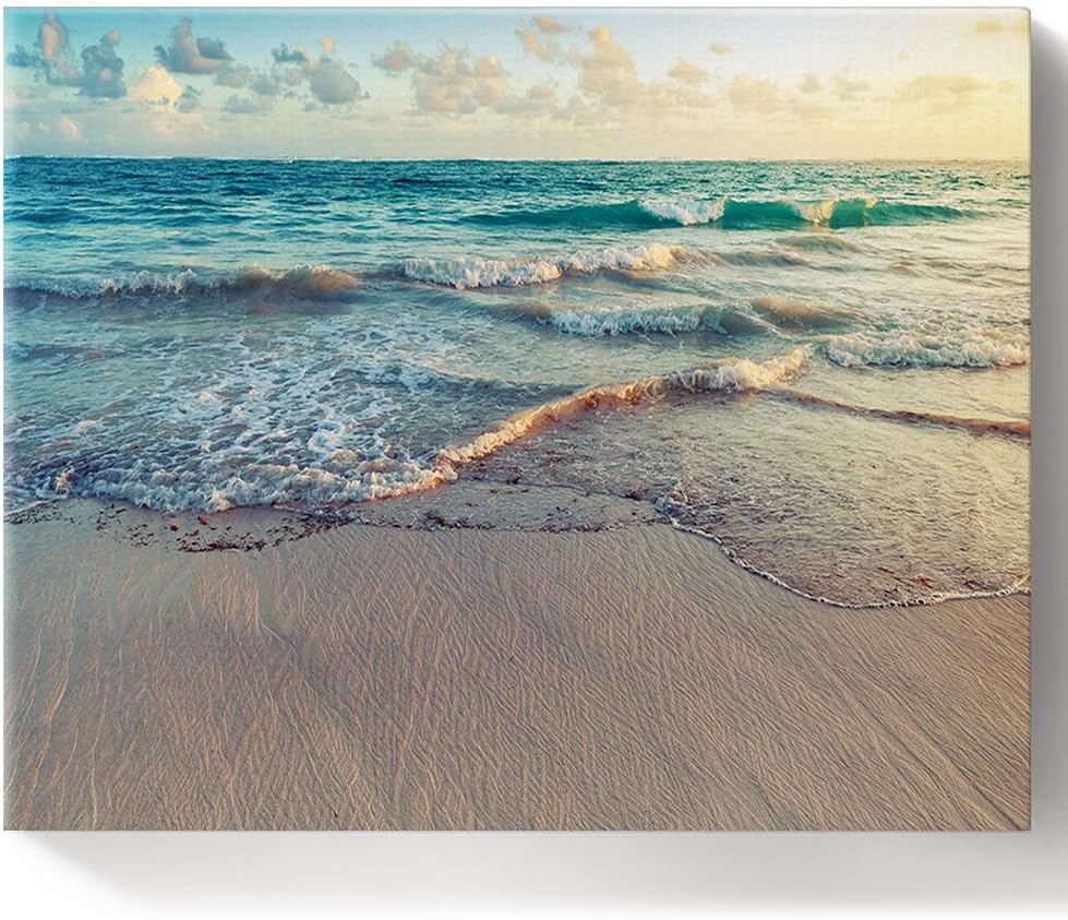 JEANCZ DIY Oil Painting Paint by Numbers Kits for Adult Beach Ocean Theme Wavy Ocean Nature Scenery According to The Numbers on The Canvas 16x20 inch