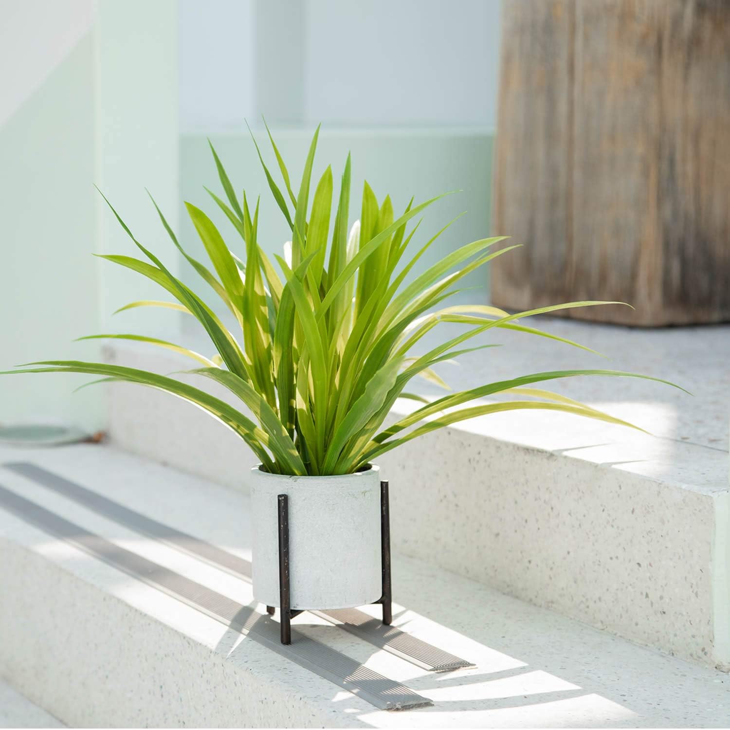 Velener Artificial Potted Long Leaf Plant with Metal Stand for Home Decor (Orchid Leaf) -