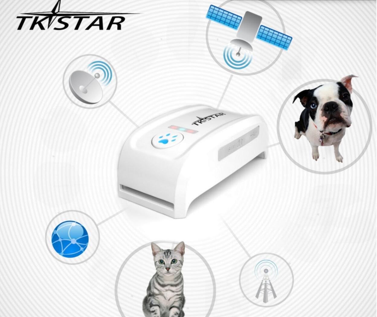cat tracker online