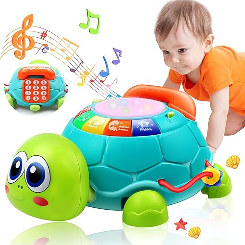 Baby Toys to 12 Months, Music Turtle Kids Toys for Year Old