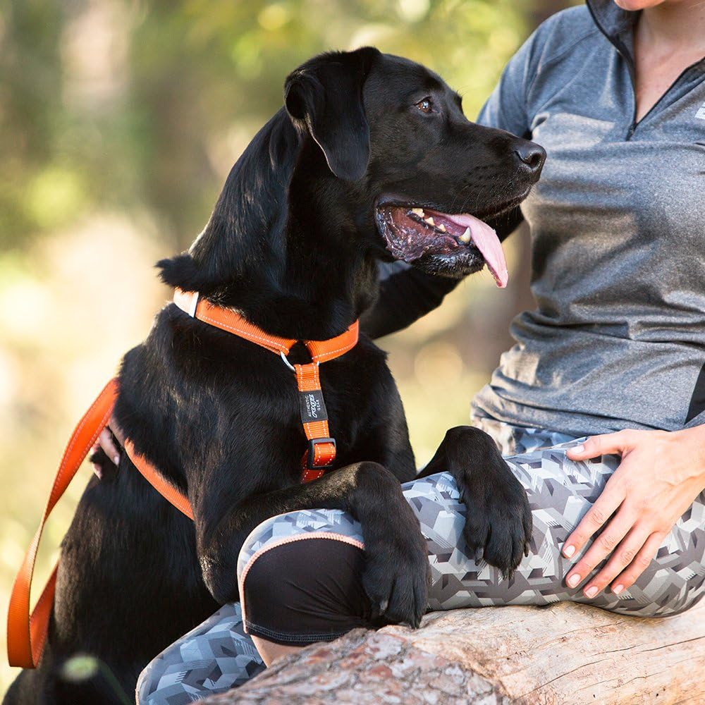Rogz Lumberjack Harness Reflective, Black, 1" Extra Large - Image 5