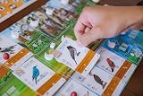 Stonemaier Wingspan Asia Standalone Expansion Board Game 1-7 Players view 8