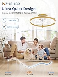 ZMISHIBO Ceiling Fans with Lights and