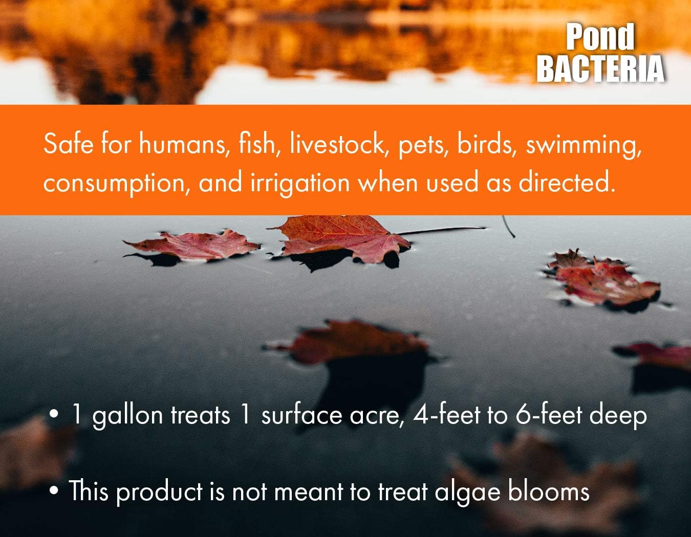 PondWorx Pond Bacteria - Formulated for Large Ponds, Water Features and Safe for Koi - 1 Gallon : Garden & Outdoor